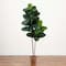 6ft. Rubber Tree in Decorative Planter with Real Touch Leaves